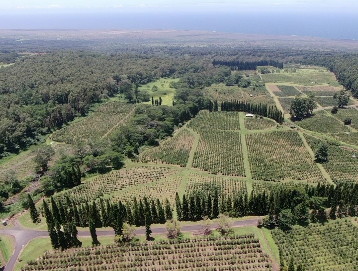 19 Lot Pahala, HI 96777 - Photo 3 of 22 an aerial view of multiple house