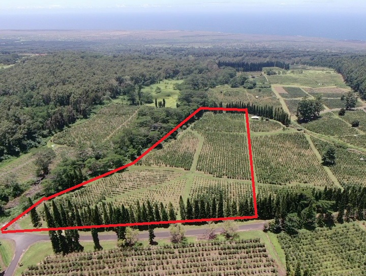 19 Lot Pahala, HI 96777 - Photo 4 of 22