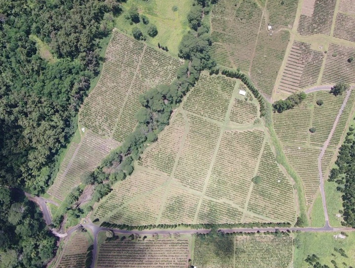 19 Lot Pahala, HI 96777 - Photo 5 of 22 an aerial view of a house with a yard