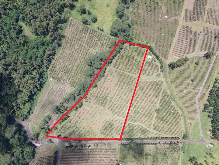 19 Lot Pahala, HI 96777 - Photo 6 of 22