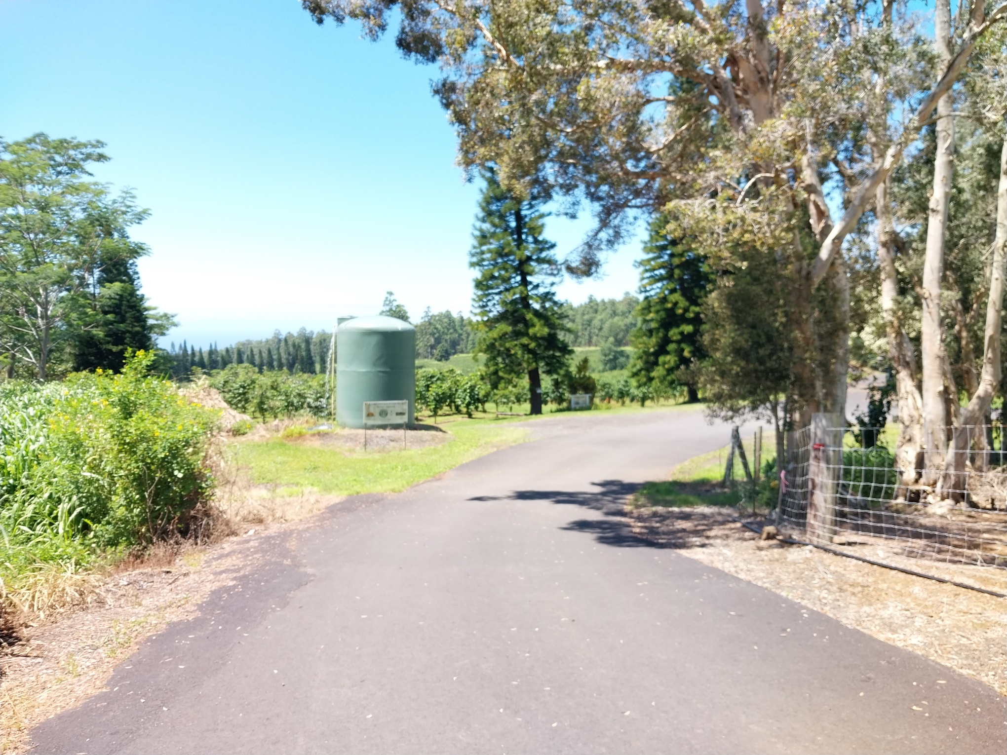 19 Lot Pahala, HI 96777 - Photo 9 of 22 a view of a street with a house in the background
