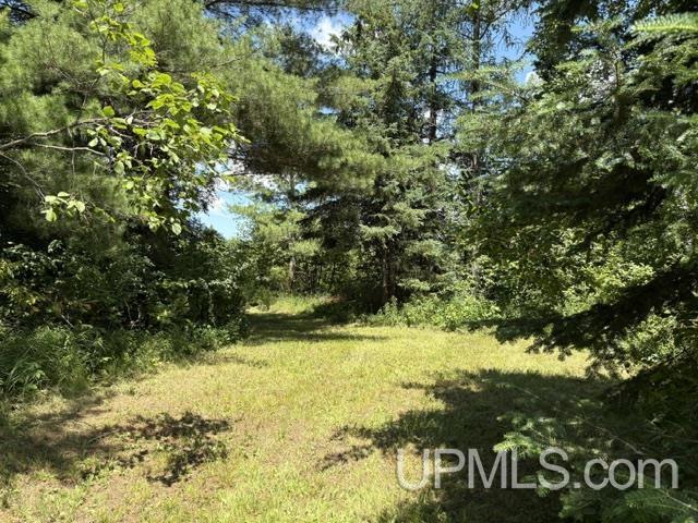 156 Sordahl Road Wakefield, MI 49968 - Photo 7 of 9