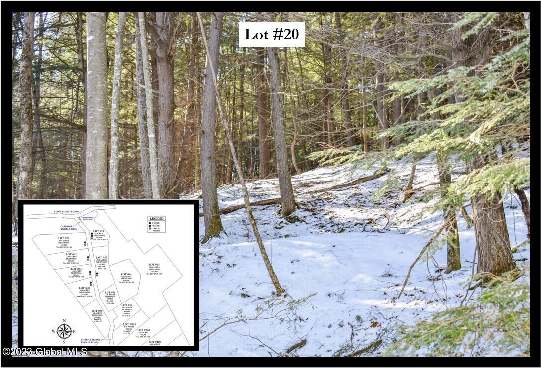 20 Carriage Road Chestertown, NY 12817 - Photo 1 of 9 Cover Framed Lot #20