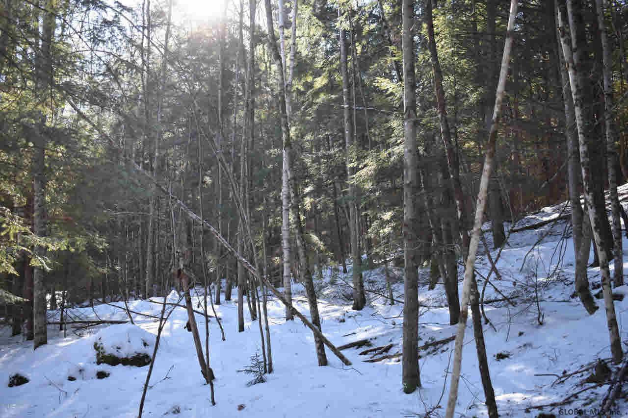 20 Carriage Road Chestertown, NY 12817 - Photo 4 of 9 Photo 4