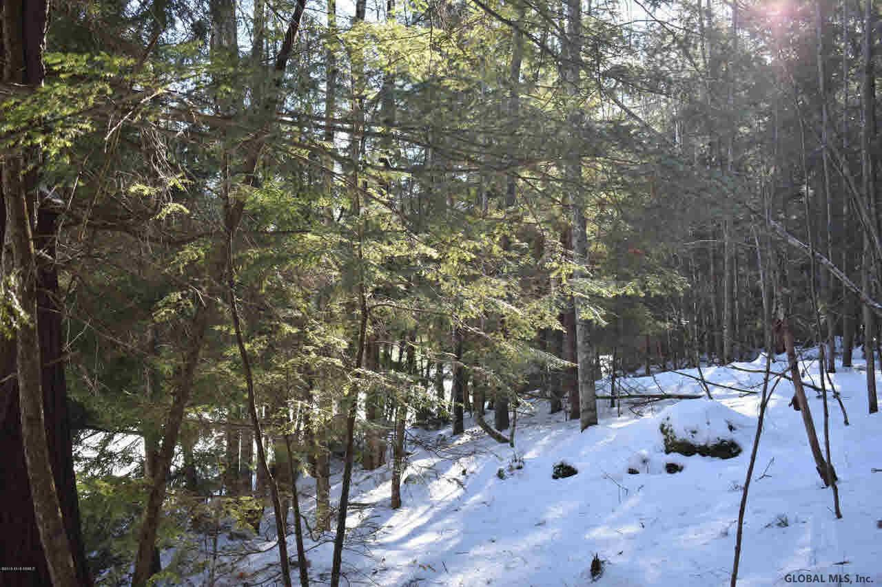 20 Carriage Road Chestertown, NY 12817 - Photo 5 of 9 Photo 5