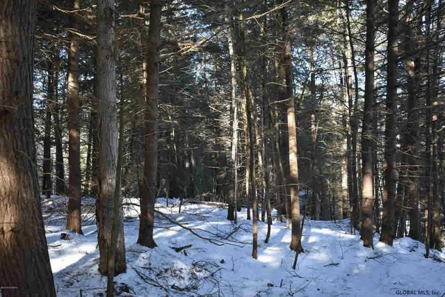 $49,500 | 20 Carriage Road, Chestertown, NY 12817