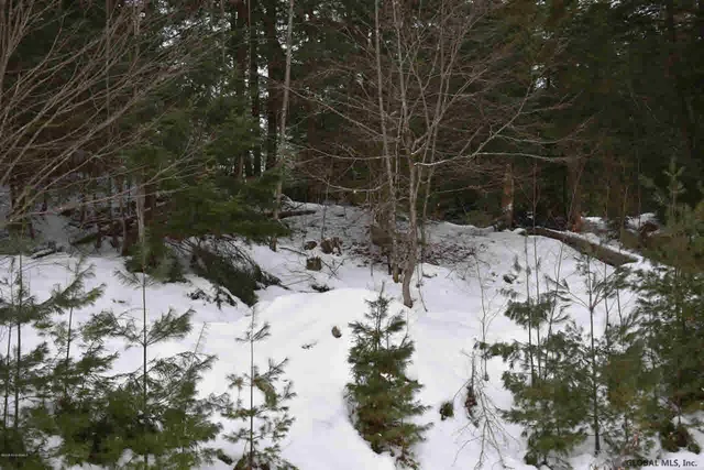 $49,500 | 20 Carriage Road, Chestertown, NY 12817