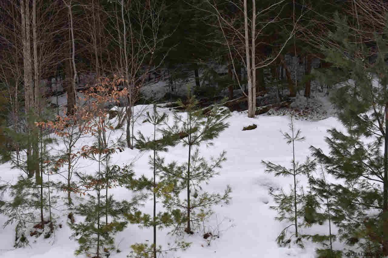 20 Carriage Road Chestertown, NY 12817 - Photo 8 of 9 Photo 8