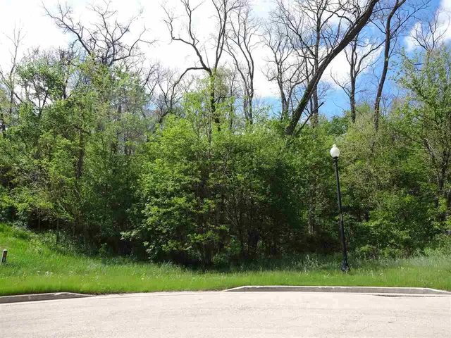 a view of a yard with a plants