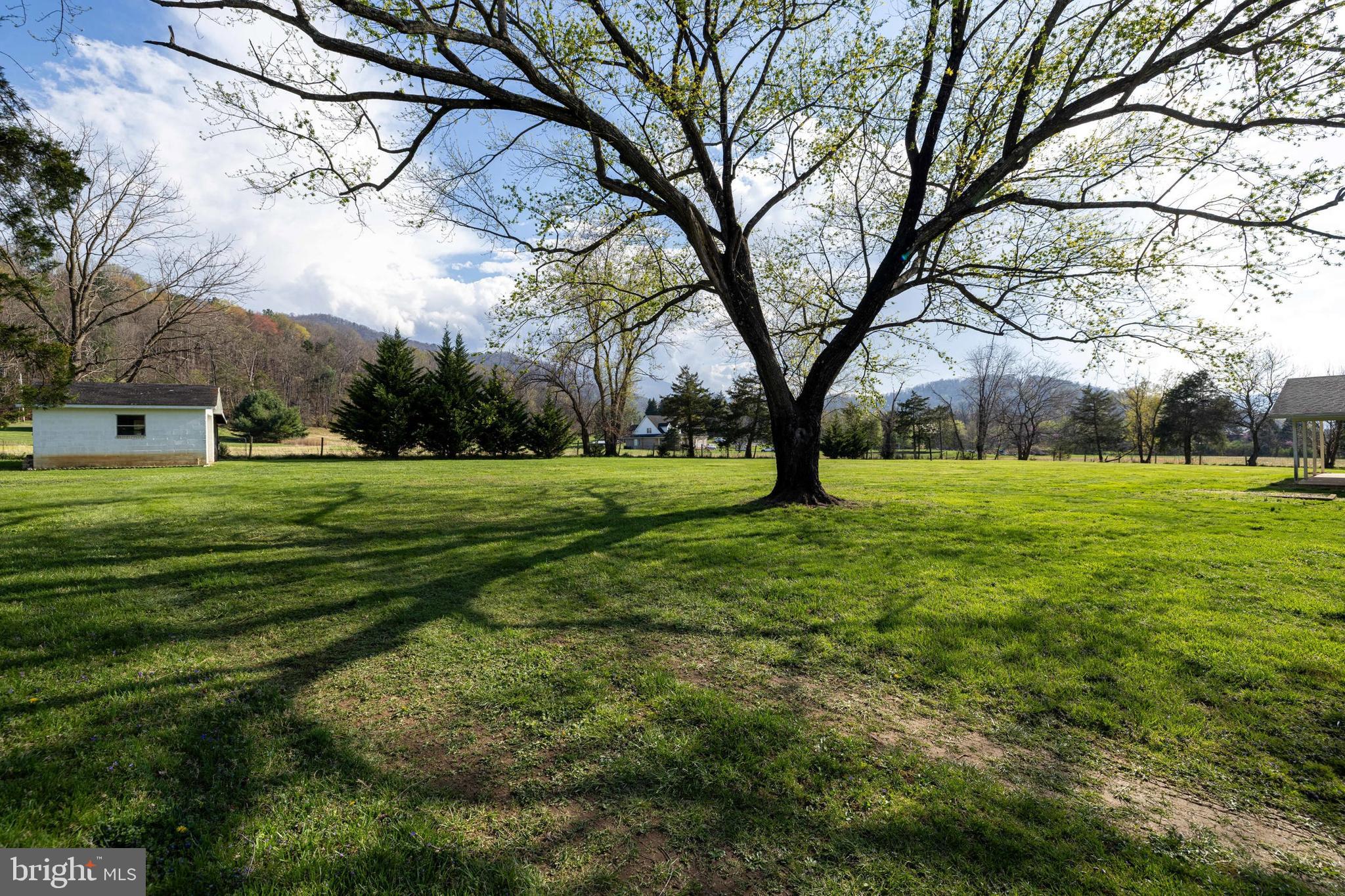 4881 Ida Road Luray, VA 22835 - Photo 50 of 78