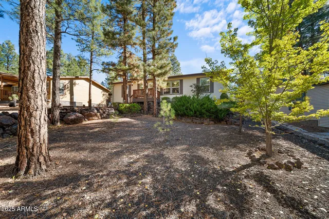 a view of house with wooden stairs and a couple of potted plants