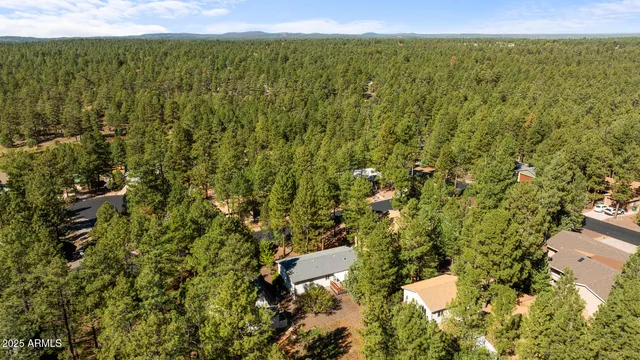 a view of a city with lush green forest