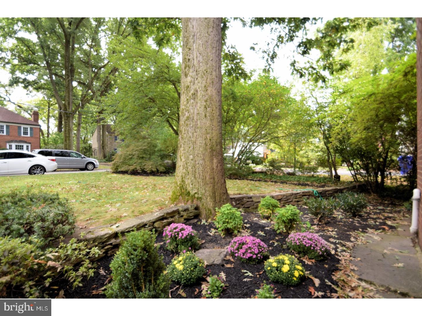 534 Custis Road Cheltenham, PA 19038 - Photo 2 of 25 Gallery Image 2