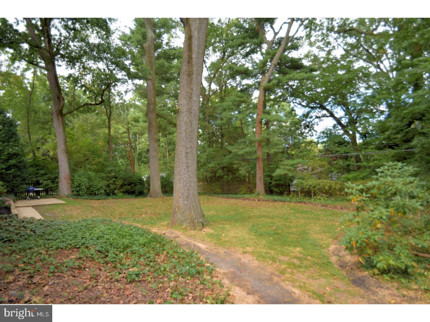 534 Custis Road Cheltenham, PA 19038 - Photo 22 of 25 Gallery Image 22