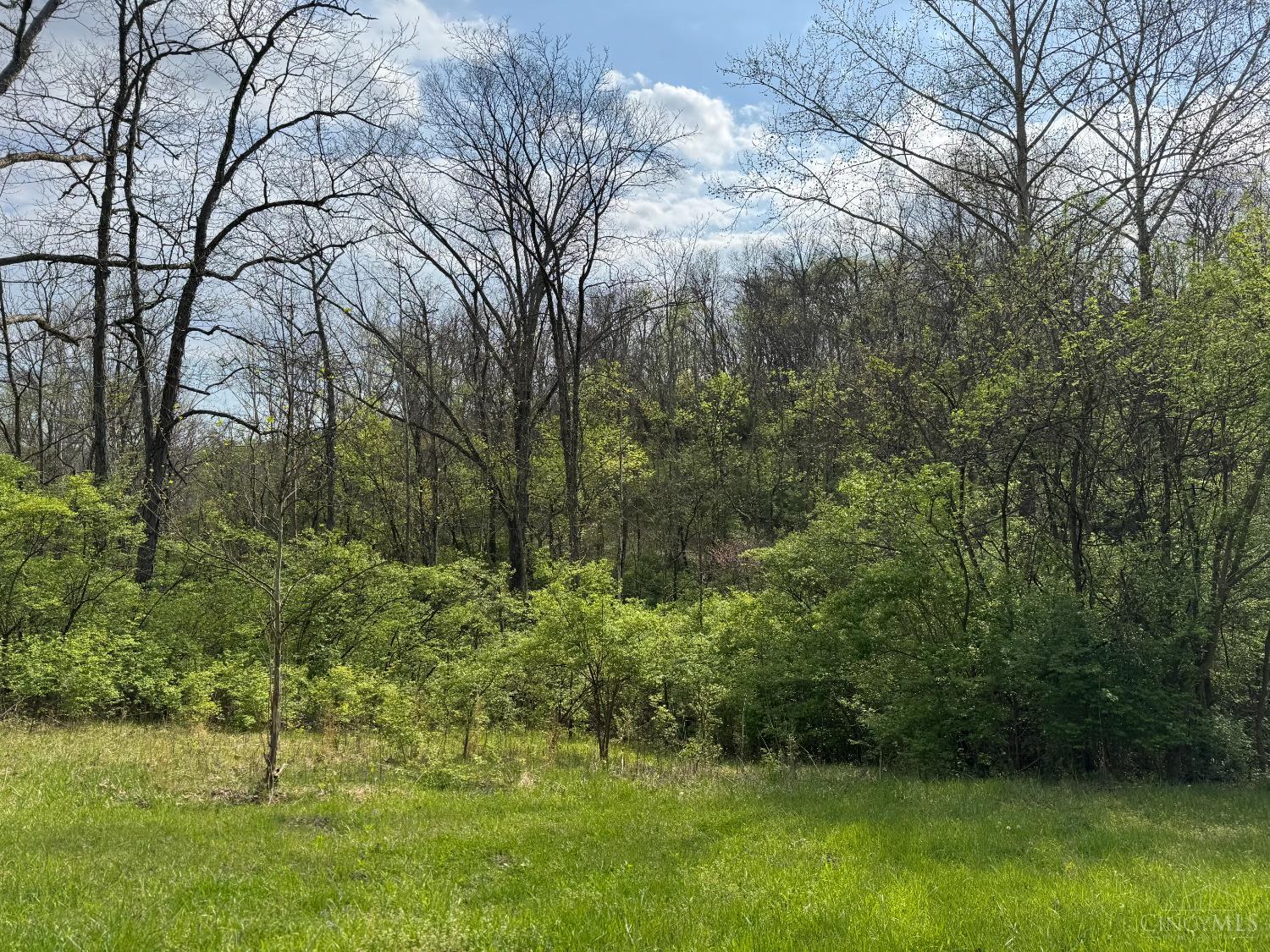 10883 Sand Run Road Harrison, OH 45030 - Photo 10 of 12
