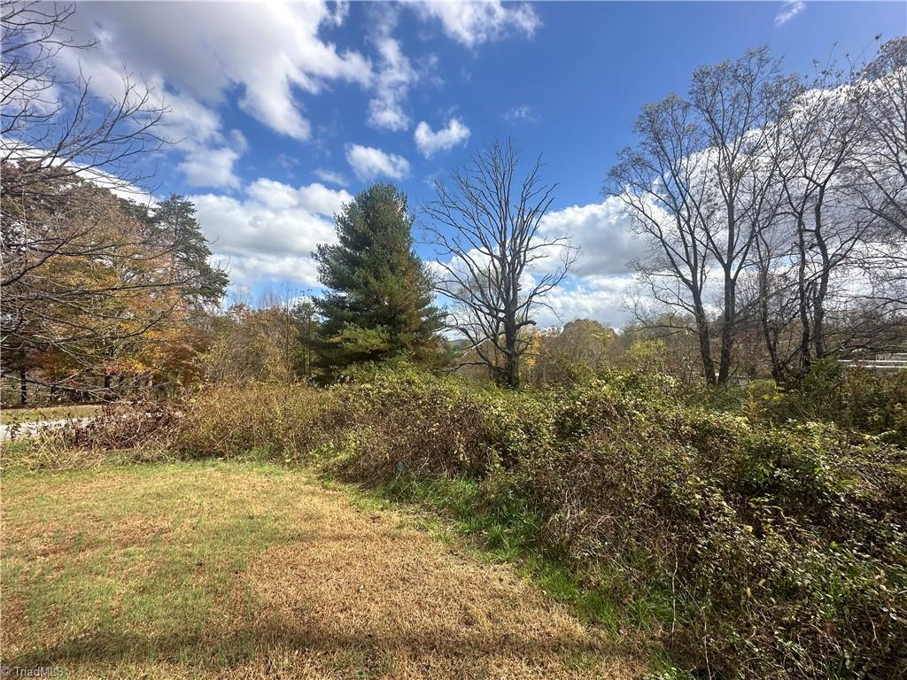 Tbd Frog Ridge Road North Wilkesboro, NC 28659 - Photo 6 of 10 Gallery Image 6