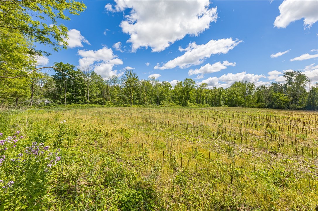 17156 Ladue Road Clarendon, NY 14470 - Photo 37 of 41