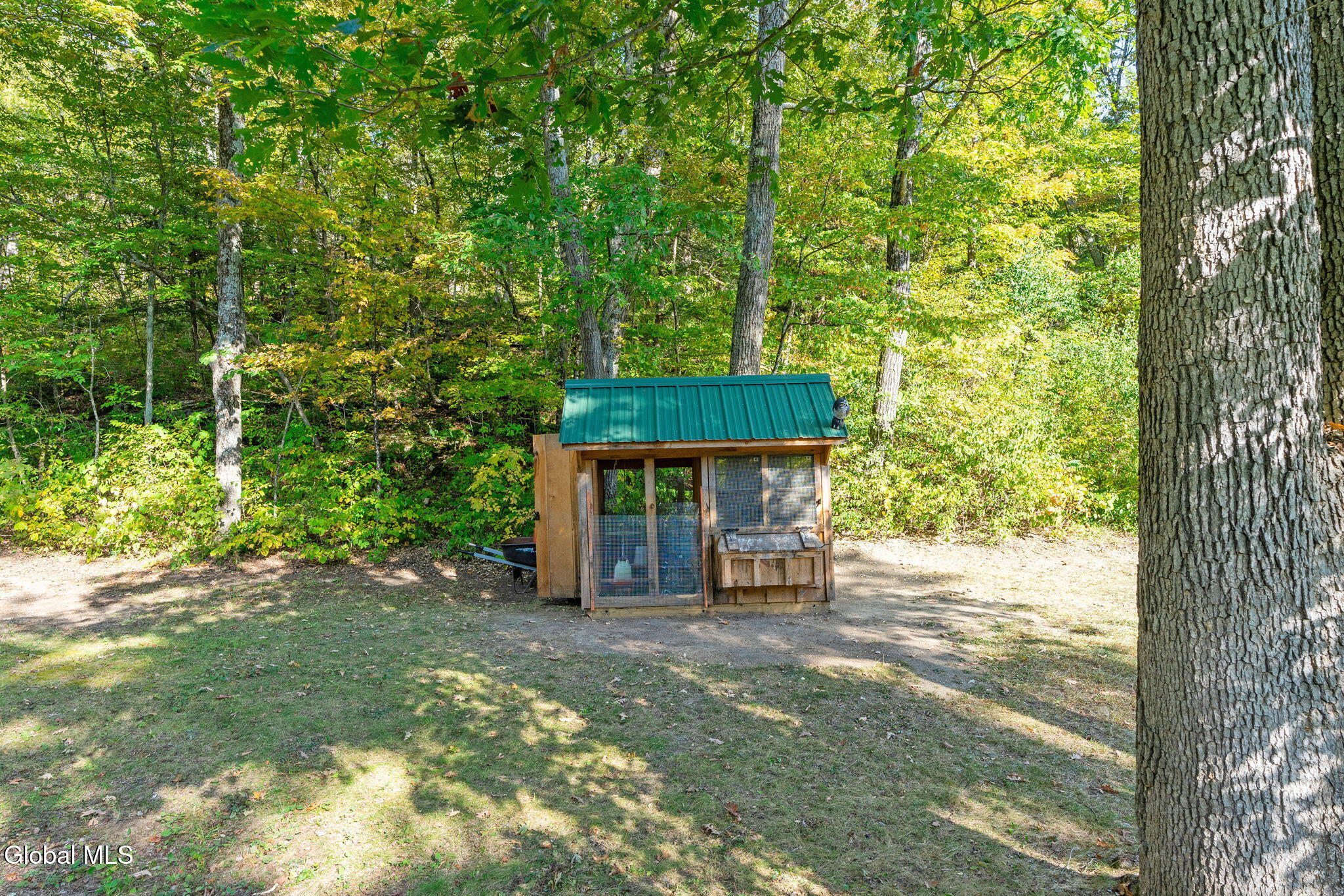 522 Starr Road Coeymans, NY 12143 - Photo 48 of 54 46-web-or-mls-522-starr-rd