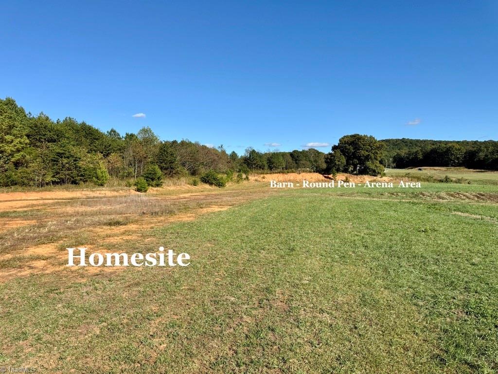 481 Ellis Hardy Road, Unit 22 3 AC Pinnacle, NC 27043 - Photo 4 of 30