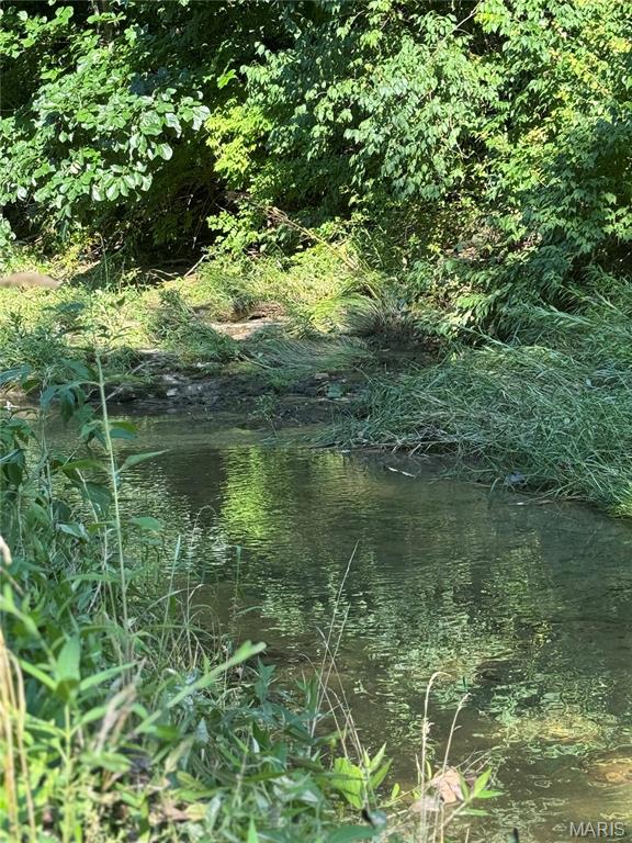 10 Big Tom Court Hawk Point, MO 63349 - Photo 3 of 8