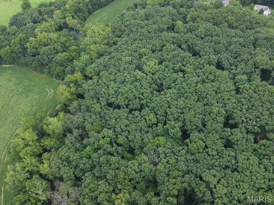 10 Big Tom Court Hawk Point, MO 63349 - Photo 5 of 8