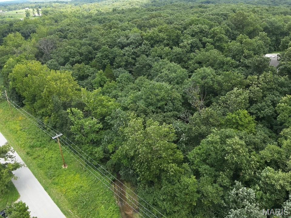 10 Big Tom Court Hawk Point, MO 63349 - Photo 7 of 8