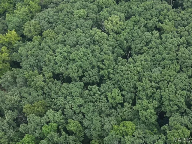 $65,000 | 10 Big Tom Court, Hawk Point, MO 63349