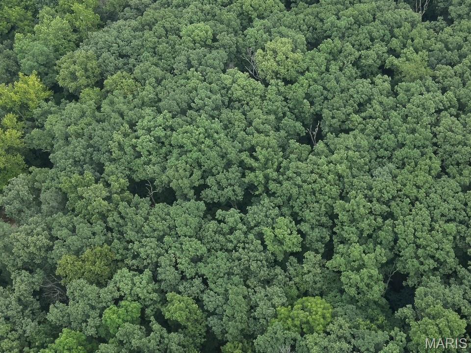 10 Big Tom Court Hawk Point, MO 63349 - Photo 8 of 8