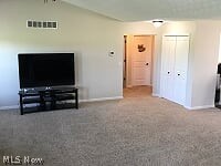 13851 Quarry Road Oberlin, OH 44074 - Photo 10 of 35 Gallery Image 10