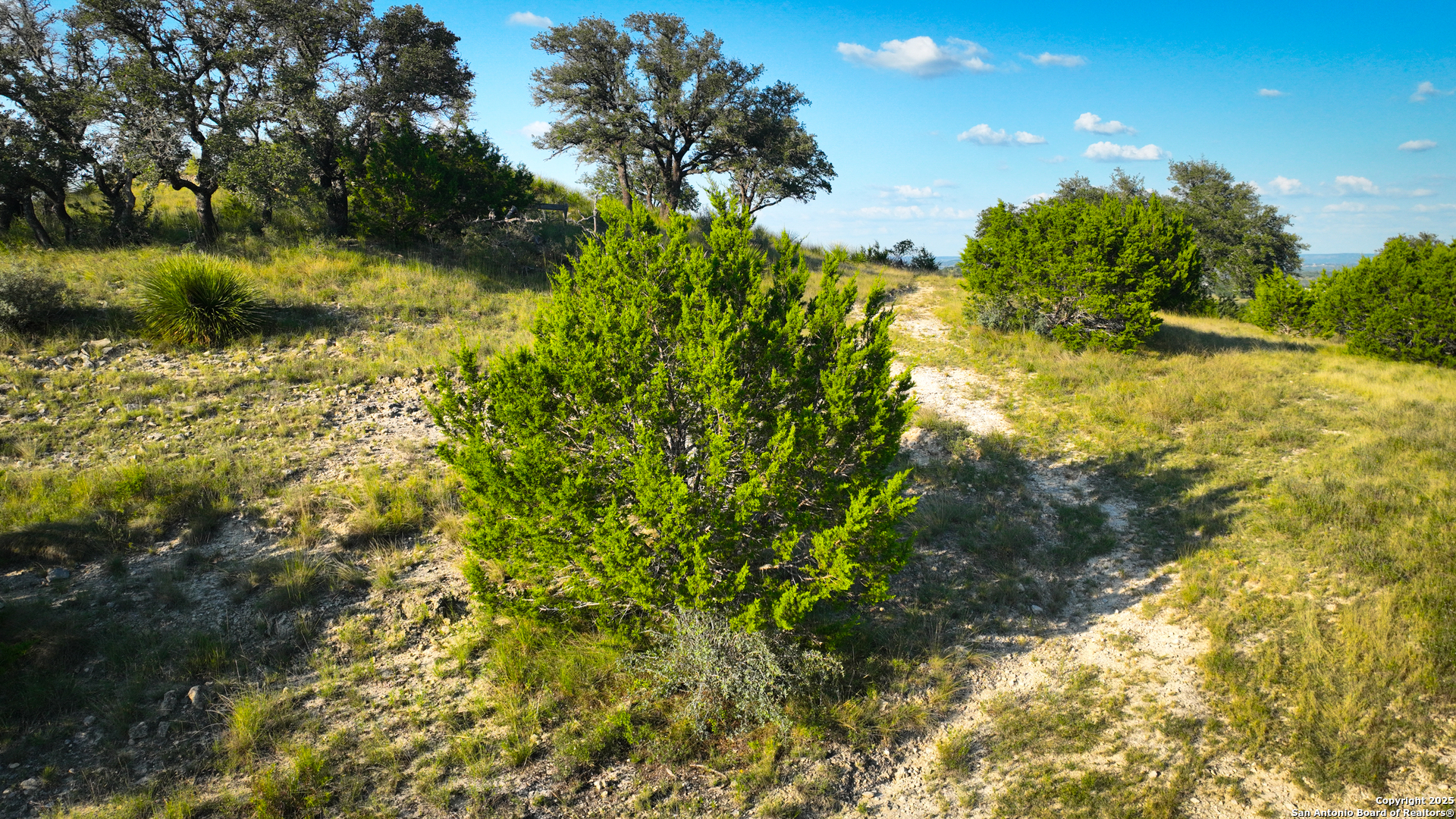 Far Hills Ranch Tract 3 Comfort, TX 78013 - Photo 10 of 19 a view of a yard with a tree