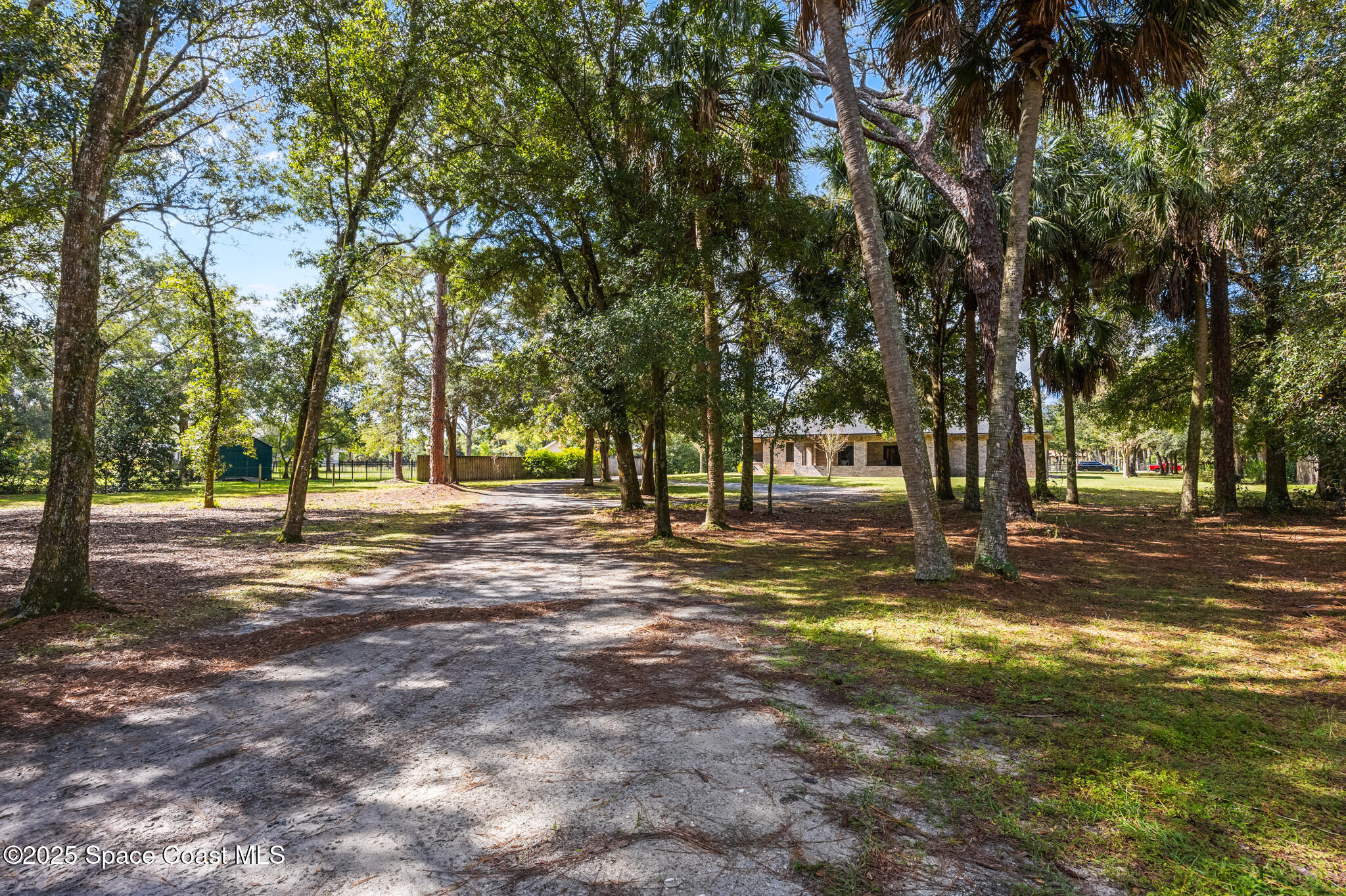 5495 Pine Street Cocoa, FL 32927 - Photo 37 of 45 a view of road with trees