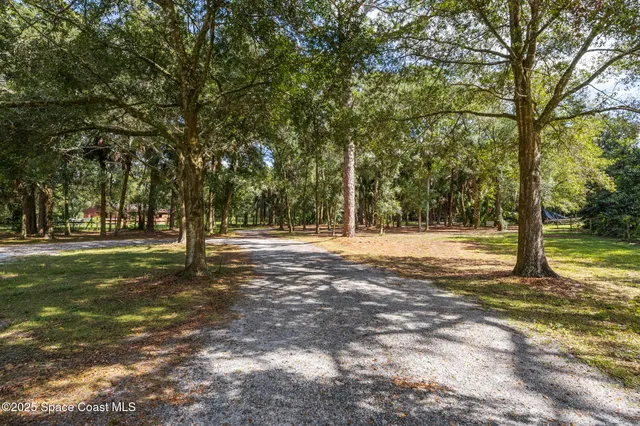 a view of yard with trees