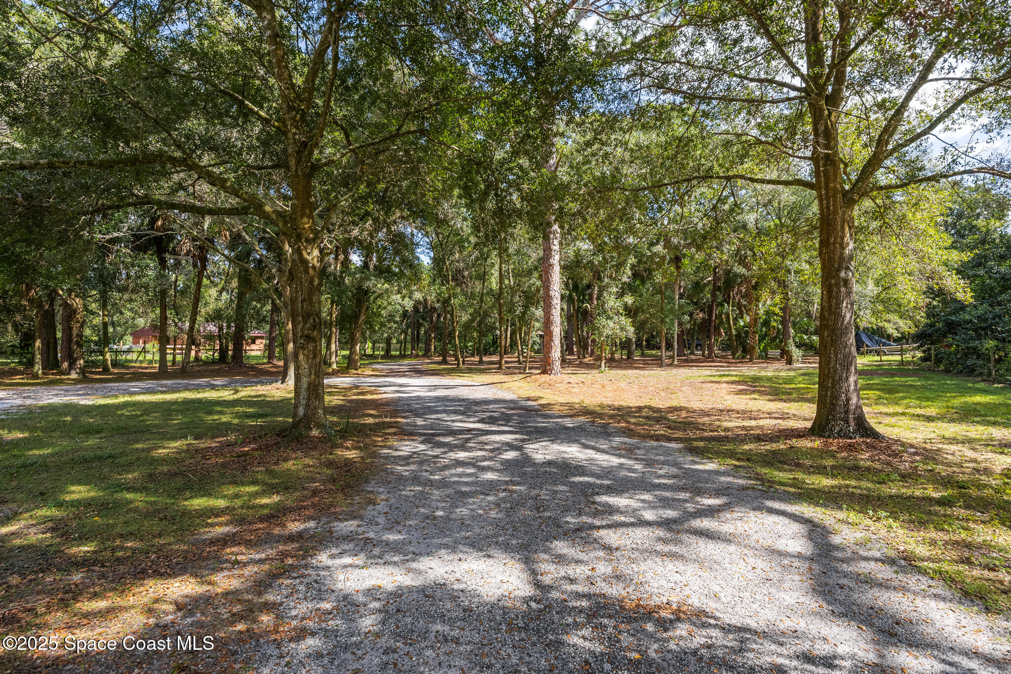 5495 Pine Street Cocoa, FL 32927 - Photo 38 of 45 a view of yard with trees