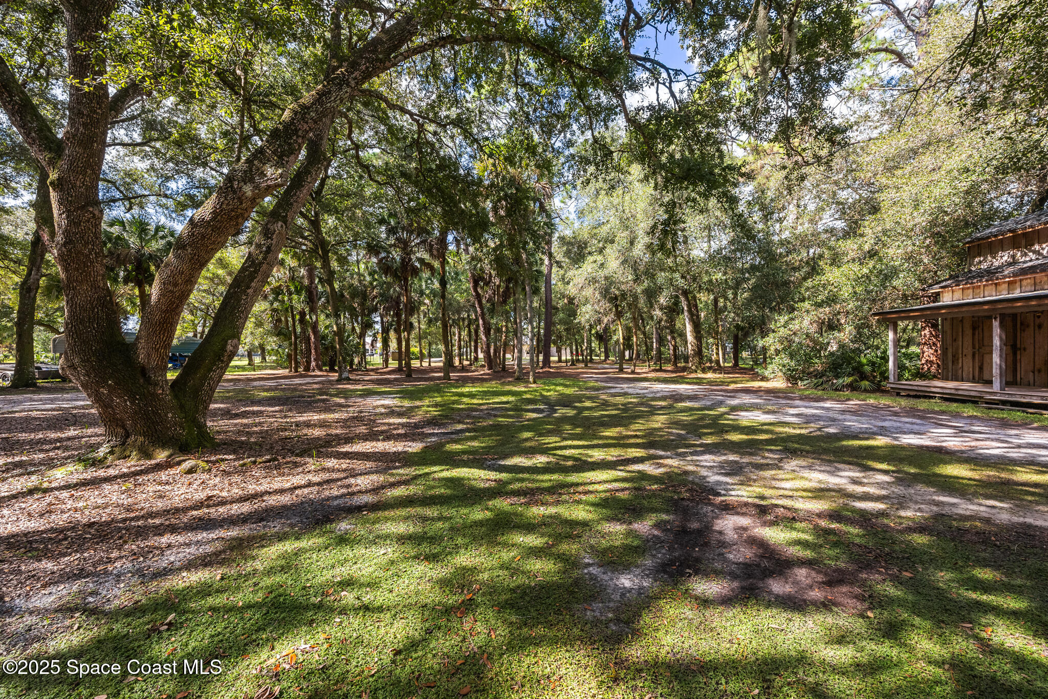5495 Pine Street Cocoa, FL 32927 - Photo 4 of 45 a view of outdoor space with trees