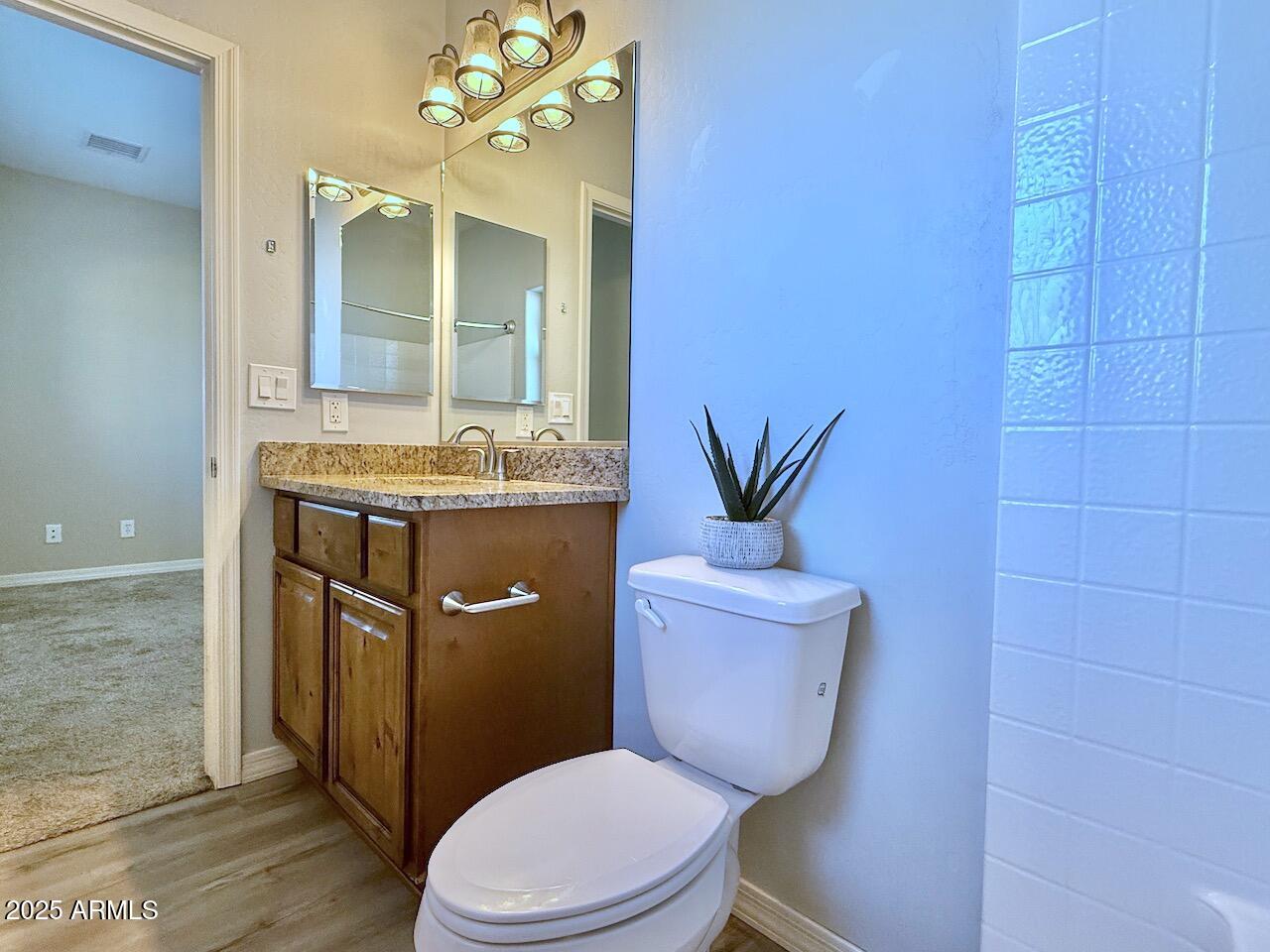 17642 East Trails End Road Mayer, AZ 86333 - Photo 17 of 43 17 Primary Bathroom 2