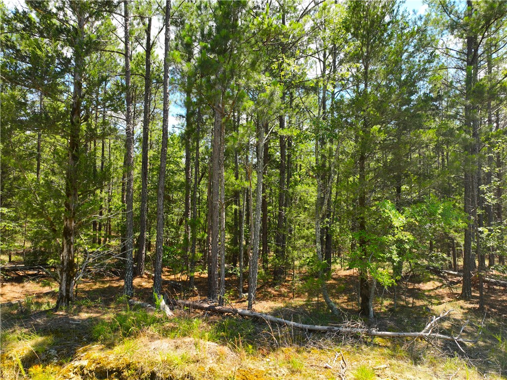 401 Coleman Road Clinton, SC 29325 - Photo 12 of 25