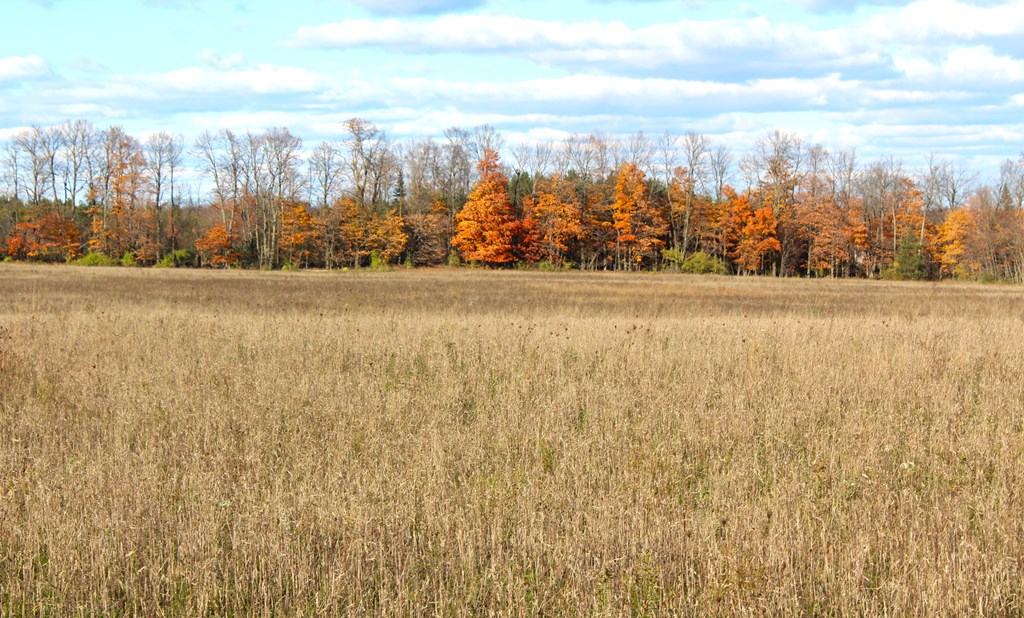 S Lot South Lot County Road Sister Bay, WI 54234 - Photo 13 of 13