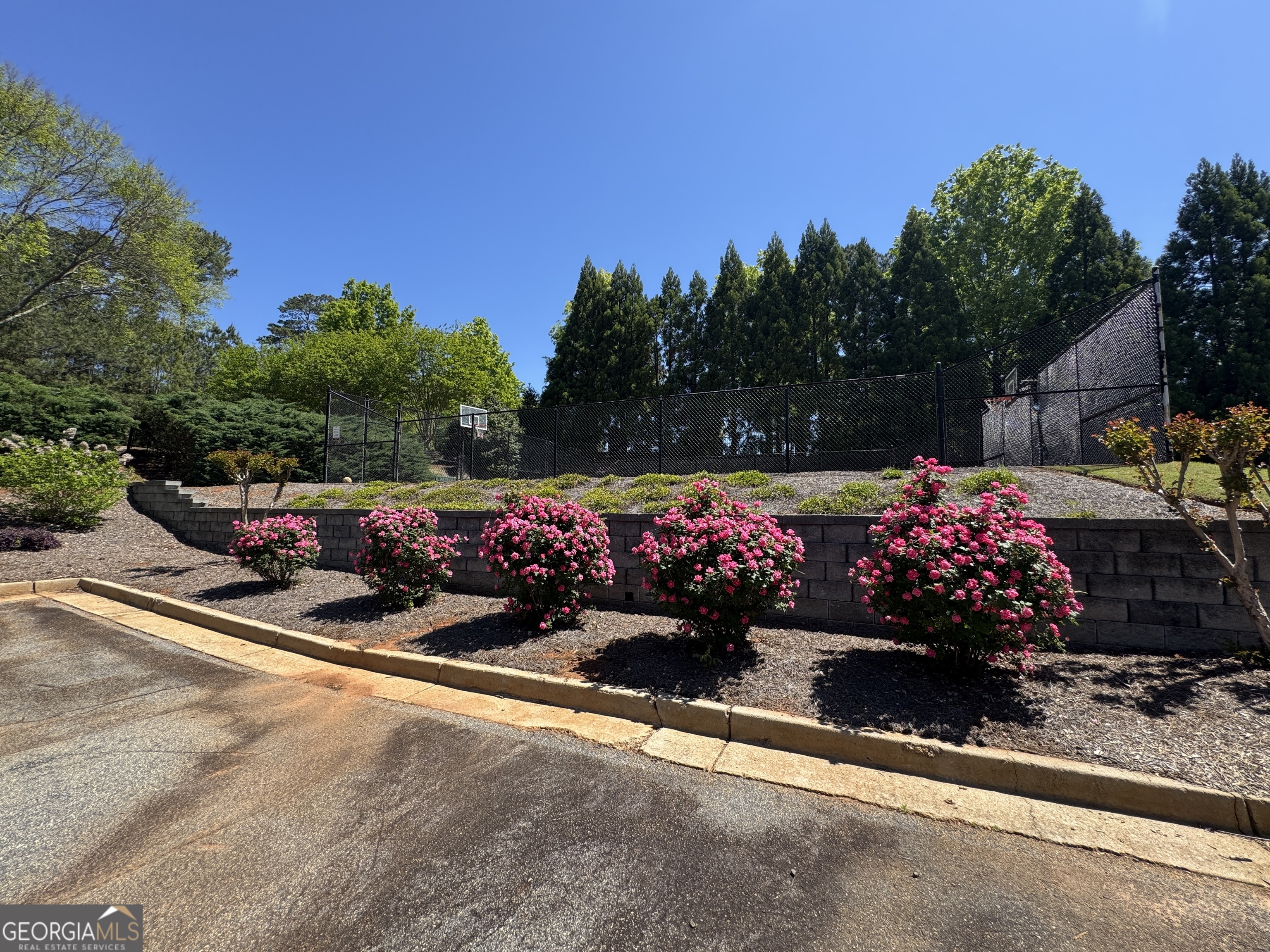 98 Adam Drive Forsyth, GA 31029 - Photo 5 of 9 a street filled with lots of flowers and trees