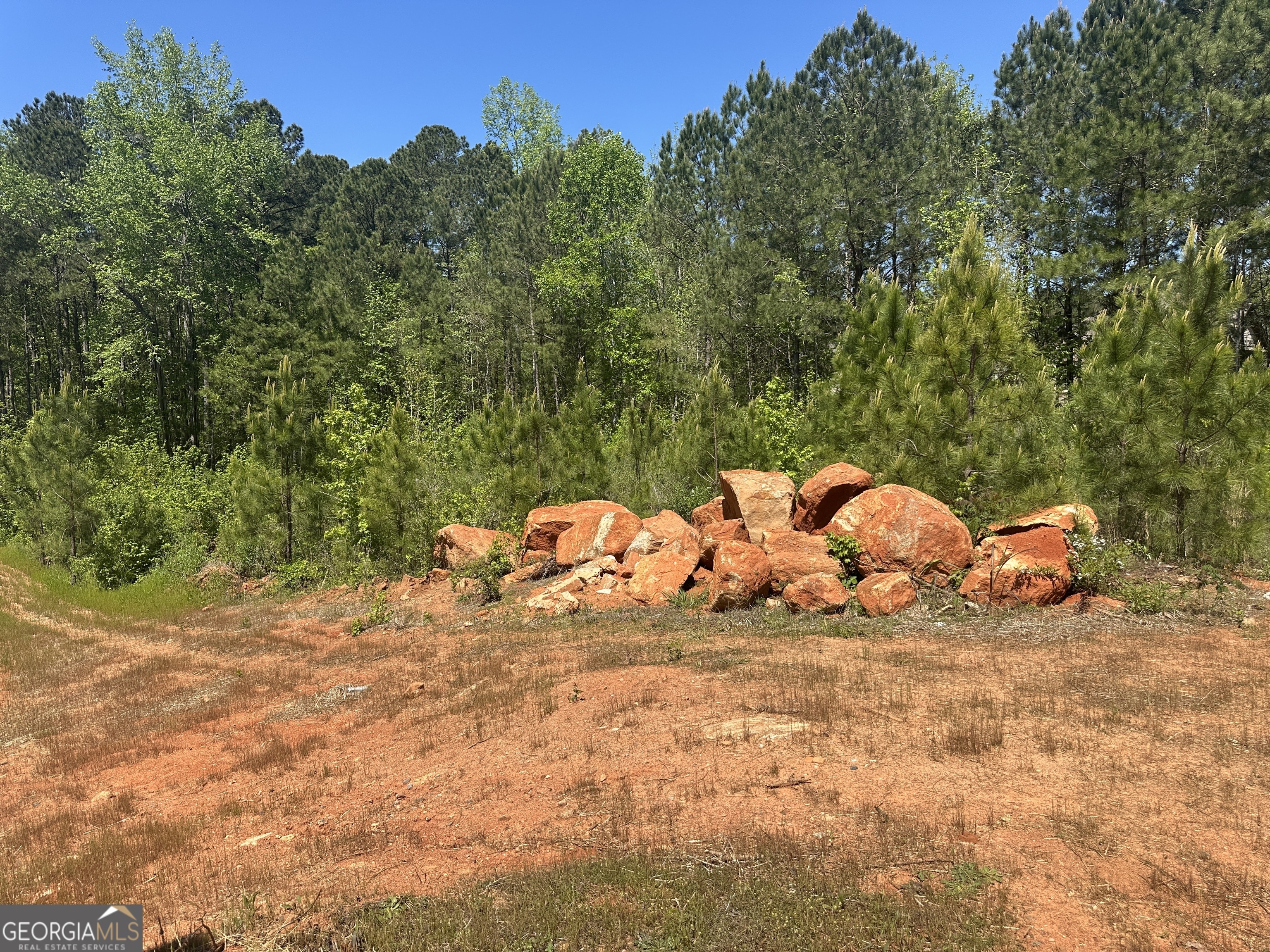 98 Adam Drive Forsyth, GA 31029 - Photo 9 of 9 a view of a outdoor space