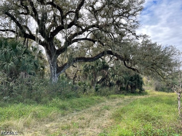 501 Norris Road LaBelle, FL 33935 - Photo 1 of 18
