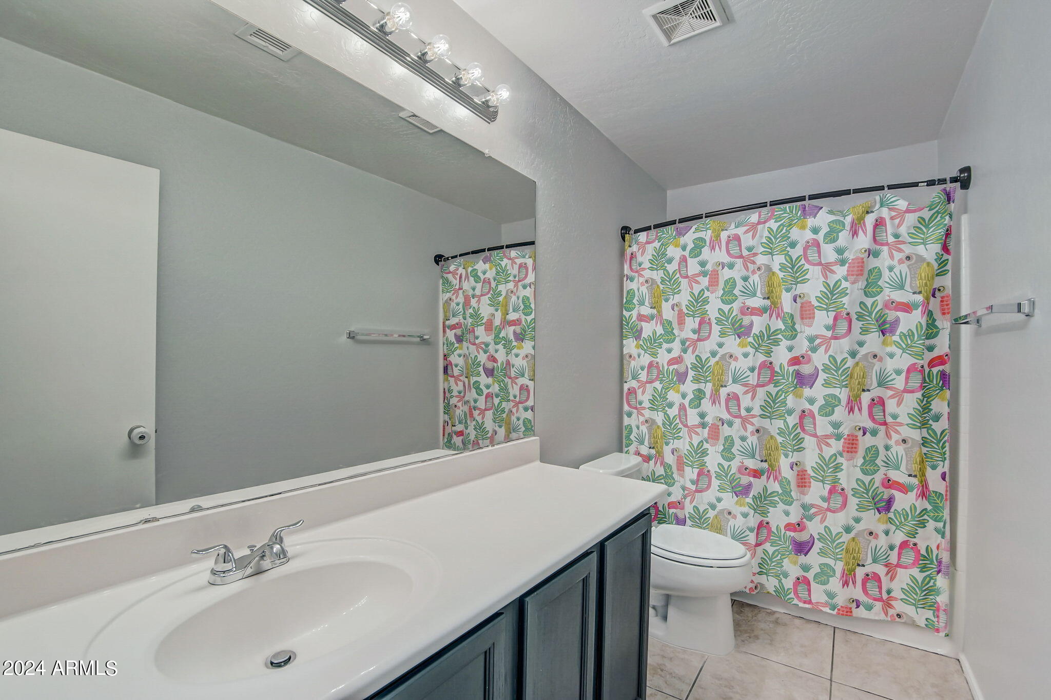 43555 West Cowpath Road Maricopa, AZ 85138 - Photo 33 of 64 29-web-or-mls-W Cowpath Rd -029