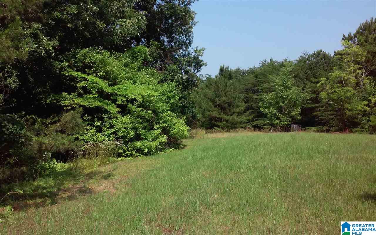 586 Dailey Circle Oneonta, AL 35121 - Photo 14 of 16