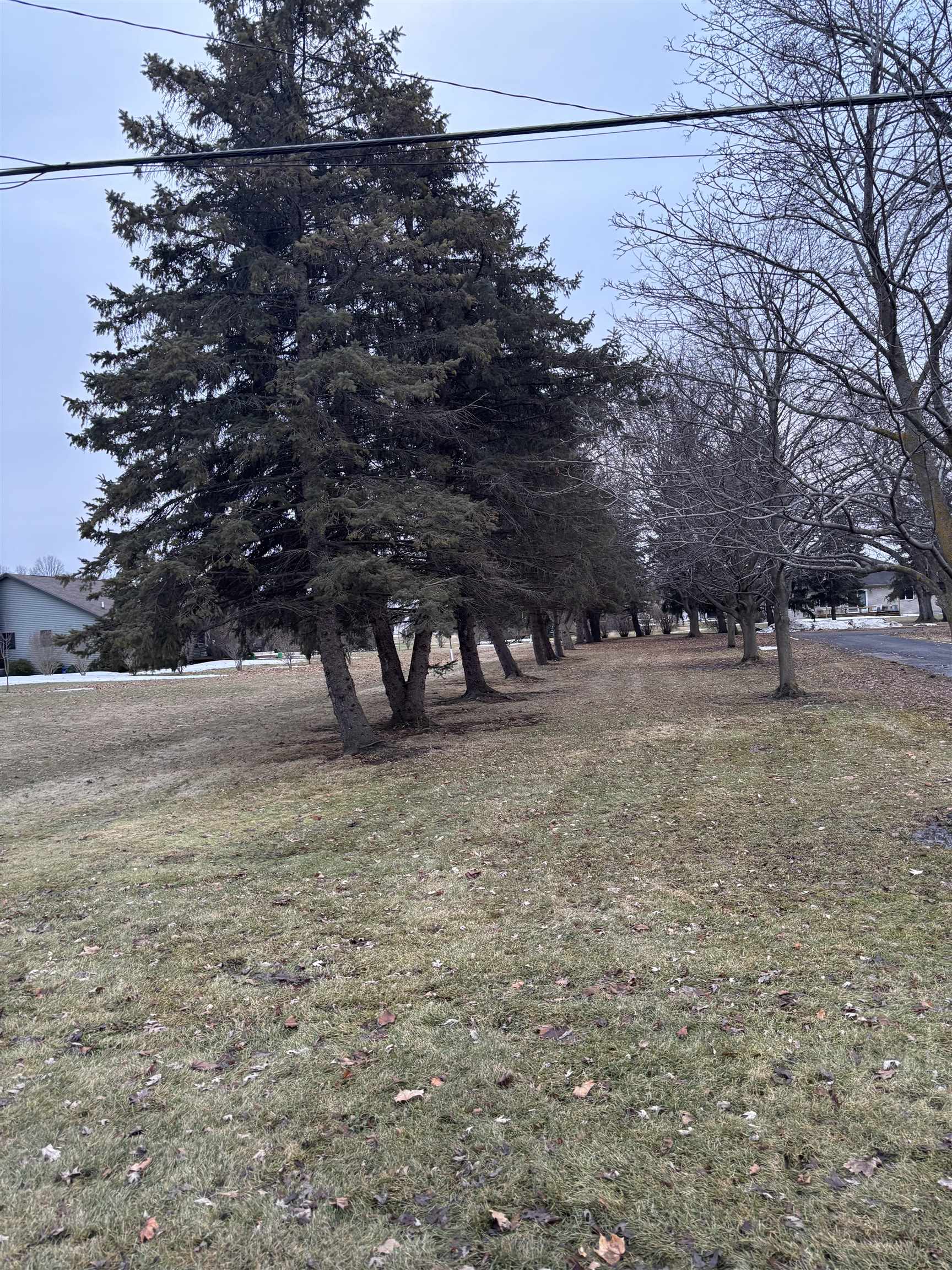 2135 East Pickard Road Mount Pleasant, MI 48858 - Photo 5 of 6
