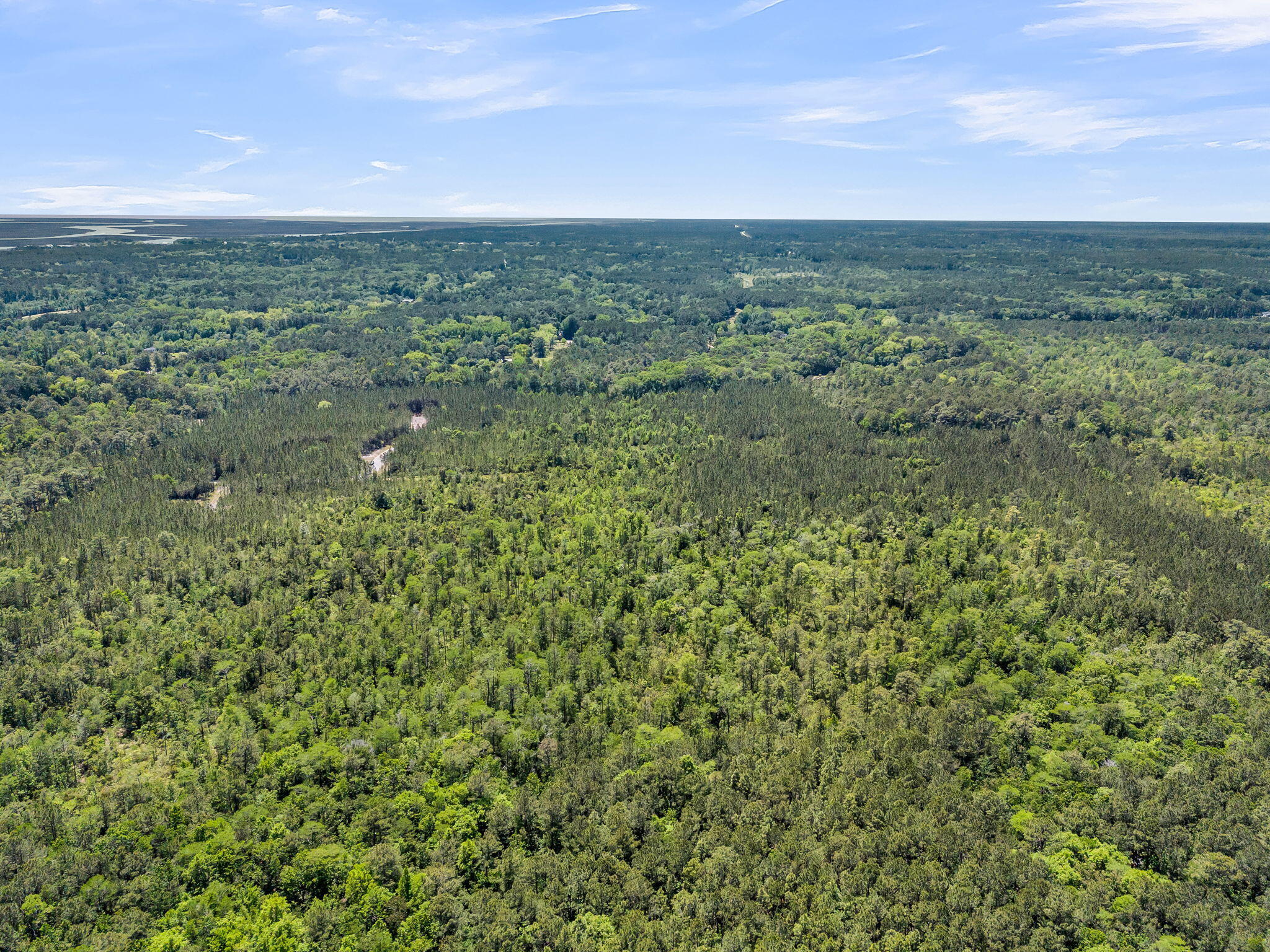 0 Deas Hill Road McClellanville, SC 29458 - Photo 16 of 20