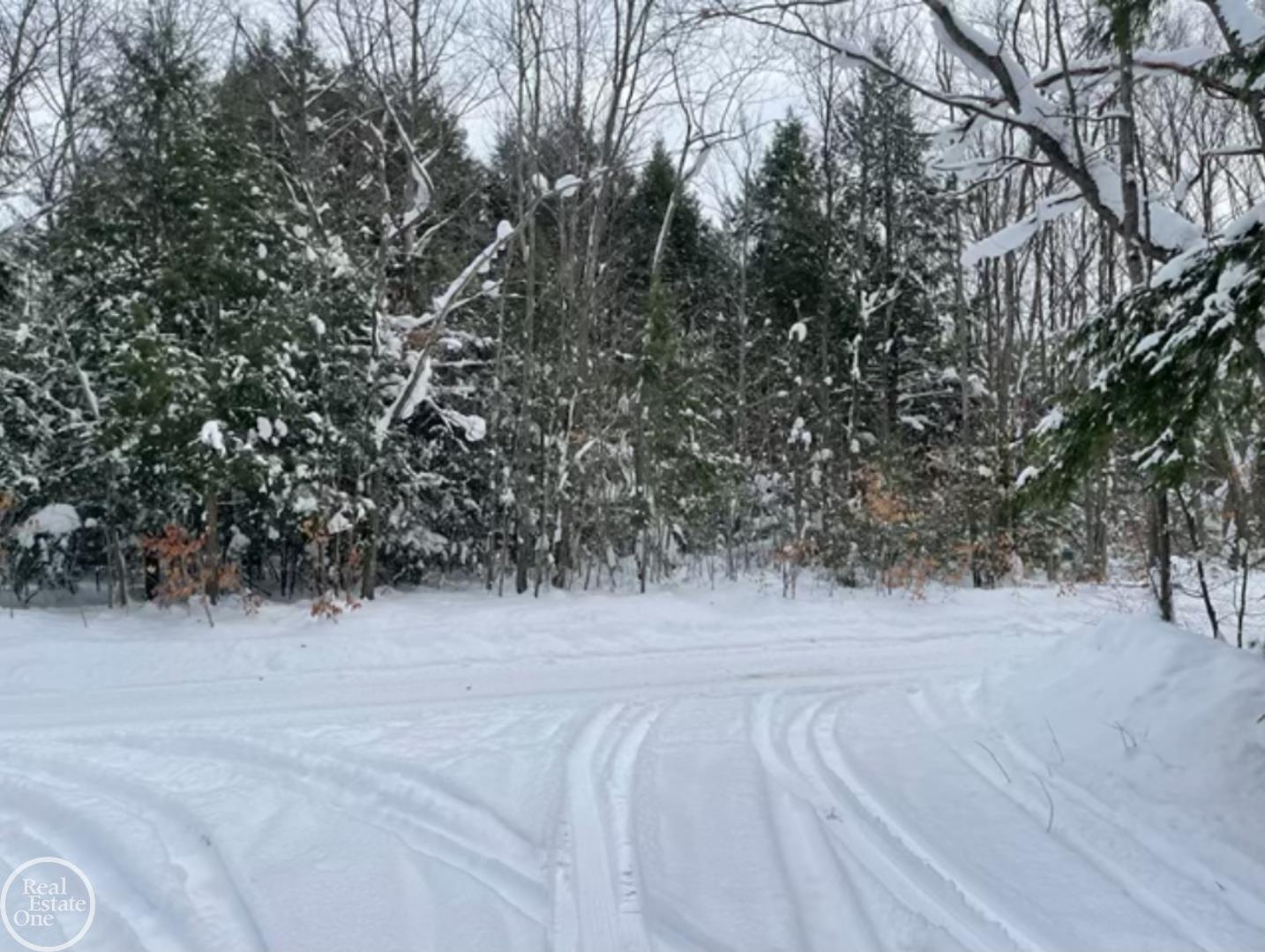 Vl Kenyon Trail Frederic, MI 49733 - Photo 2 of 2