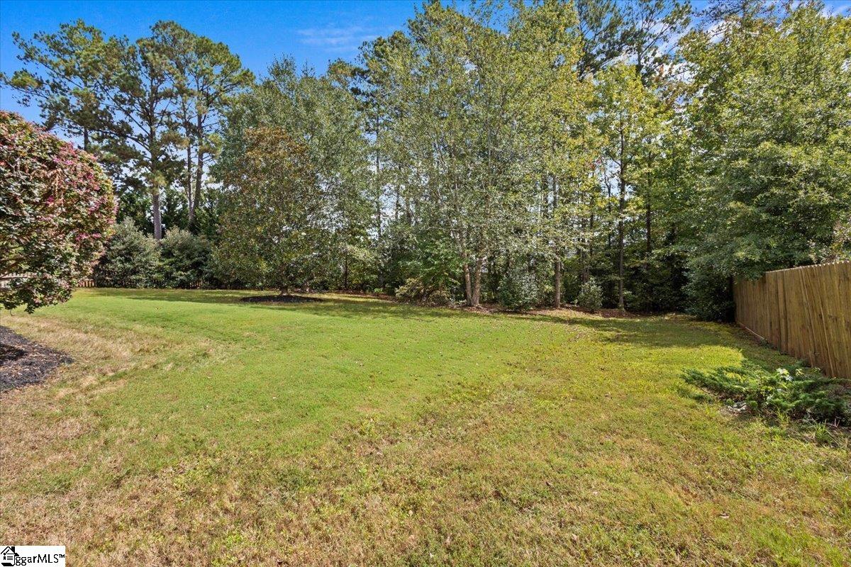 965 Ship Wreck Place Inman, SC 29349 - Photo 35 of 46