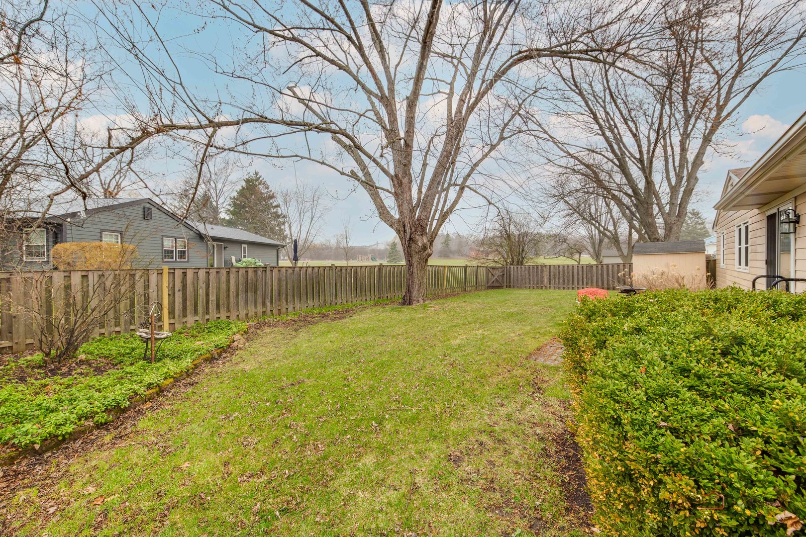 441 Arbor Gate Lane Buffalo Grove, IL 60089 - Photo 28 of 29 a view of a yard with a house and a large tree