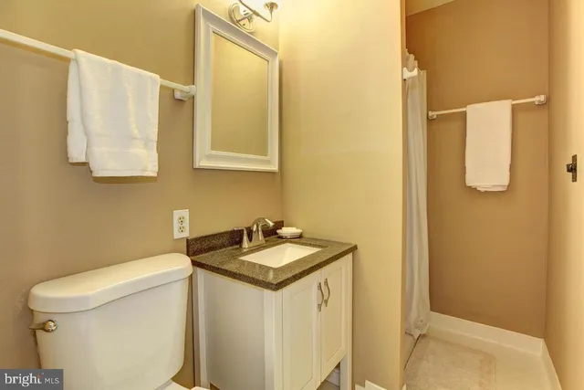 a bathroom with a sink and a toilet