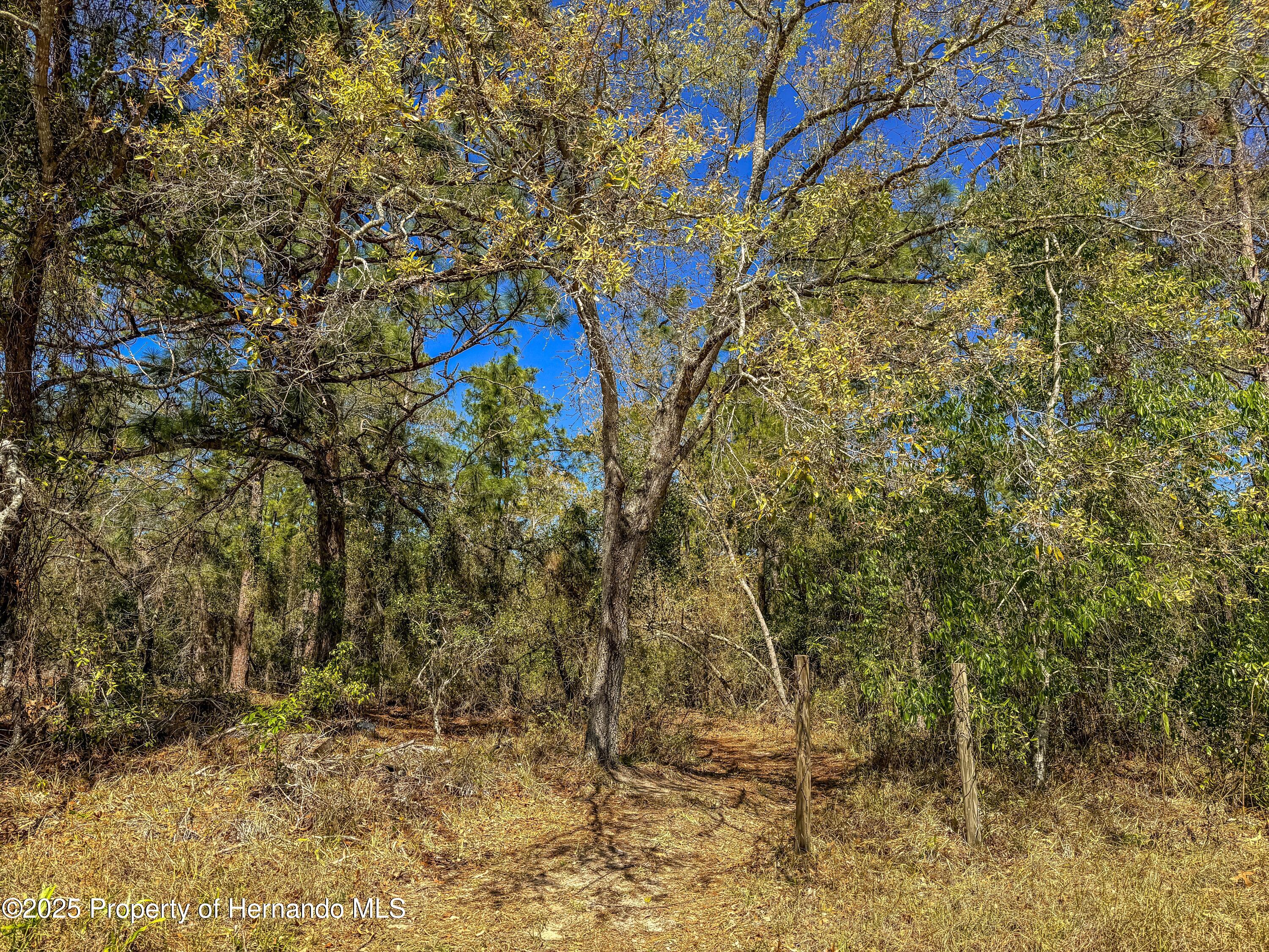 0 Sheffield Road Spring Hill, FL 34608 - Photo 11 of 26