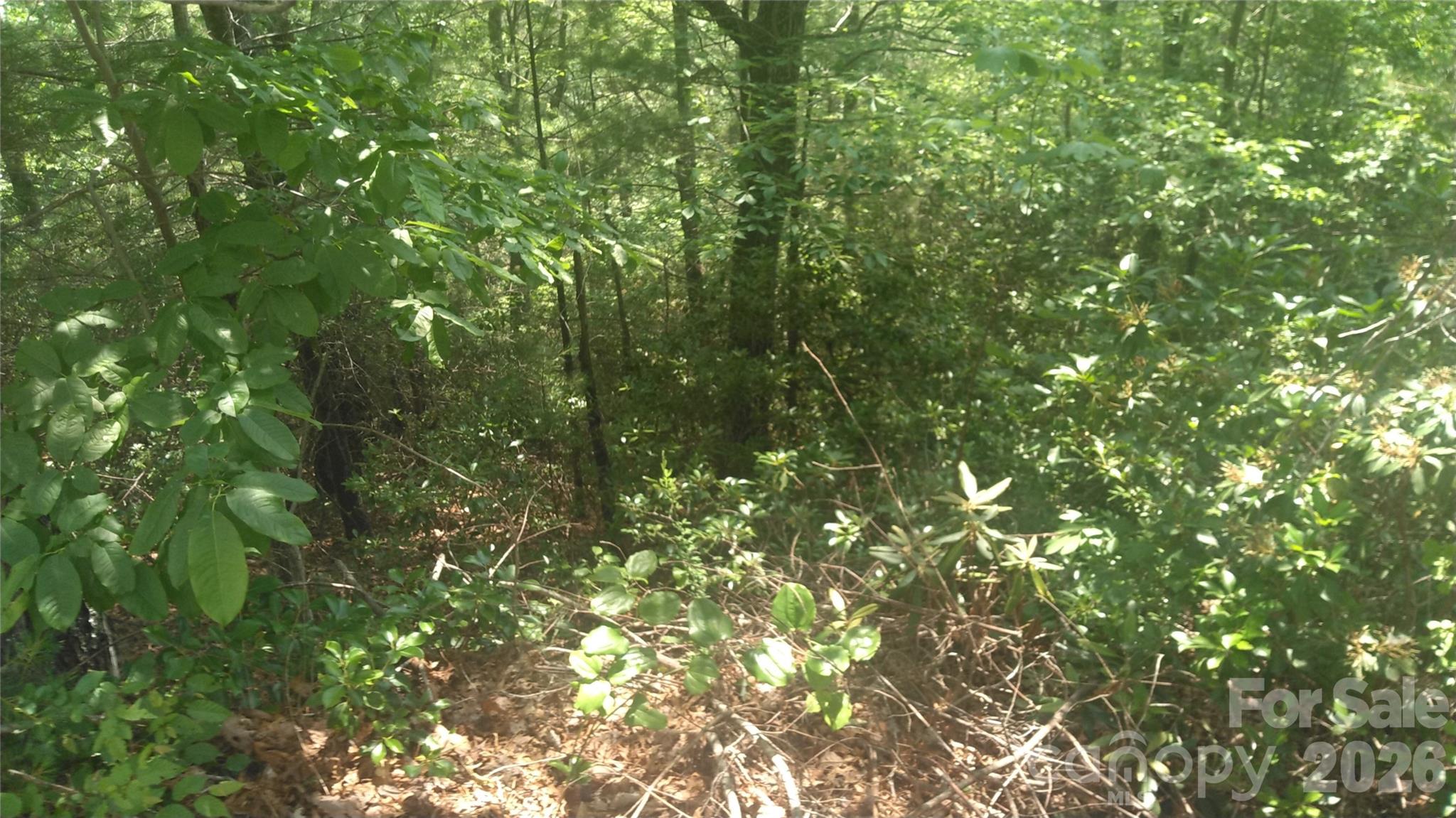 Lot 17 Deer Ridge Trail Marion, NC 28752 - Photo 4 of 8